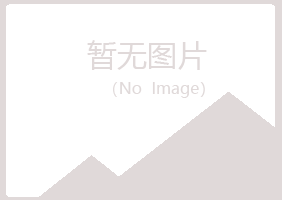 金山屯区夜蕾美容有限公司